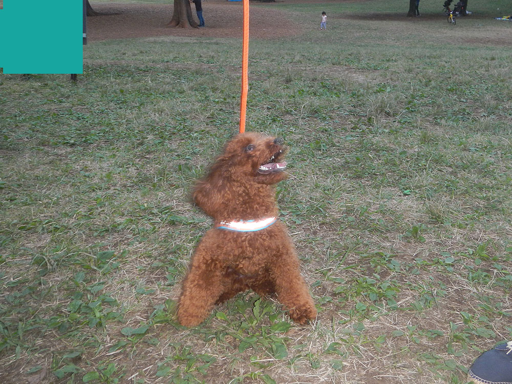 GuNbNv
 ŁwÕy[Wx ɖ߂܂B