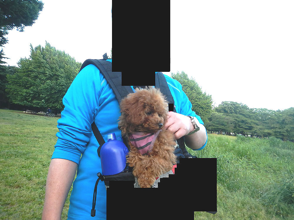 GuNbNv
 ŁwÕy[Wx ɖ߂܂B